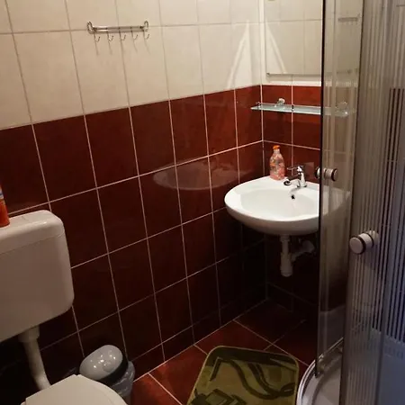 Vadrozsa Vendeghaz-apartman *